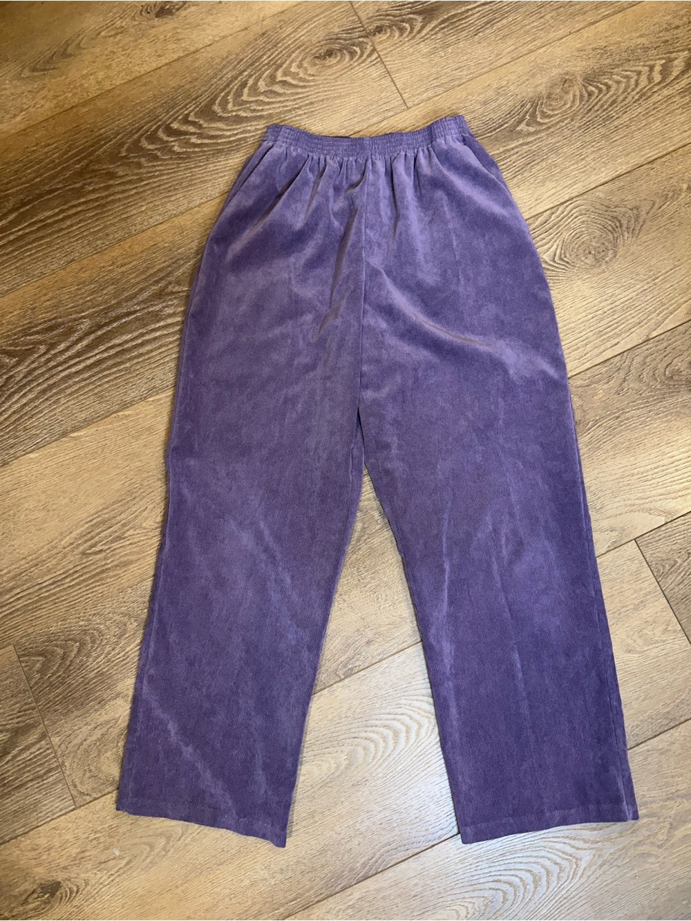 Alfred Dunner Purple Micro Corduroy Pull On Pants sz 12
